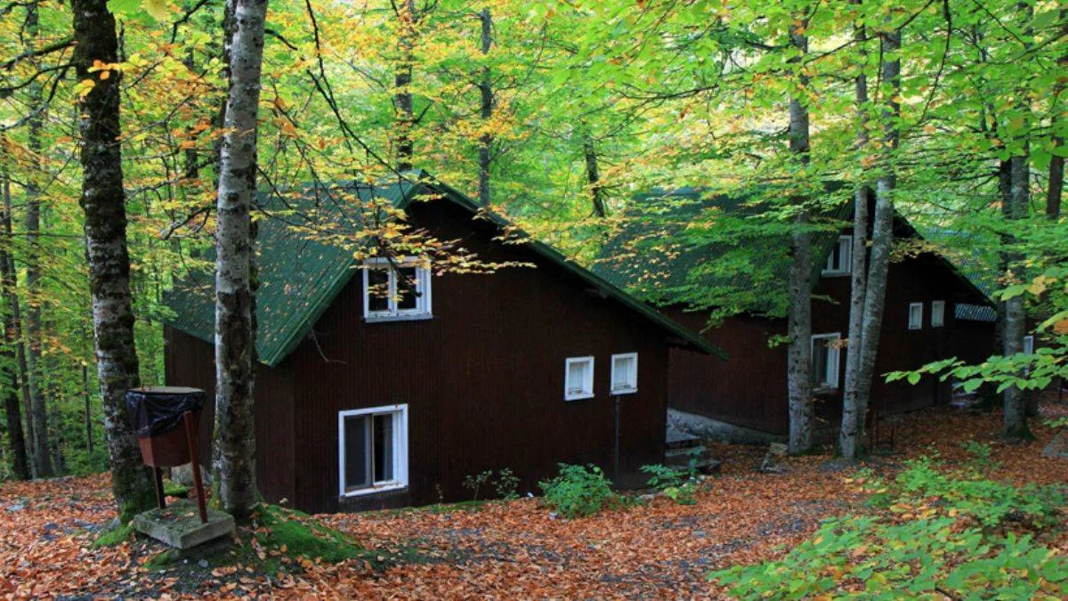 Bolu'da bazı alanlarda piknik yapmak yasaklandı