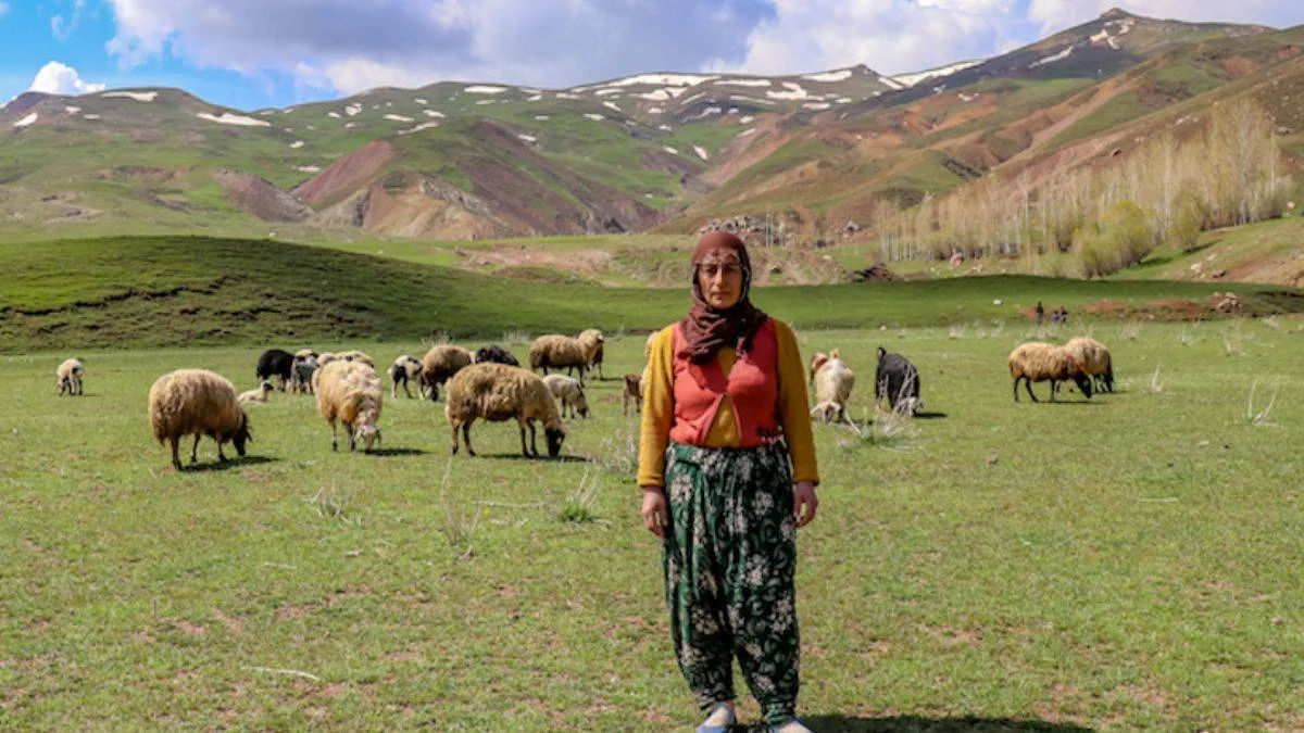 Devlet desteğiyle başladığı besicilik hayatını değiştirdi