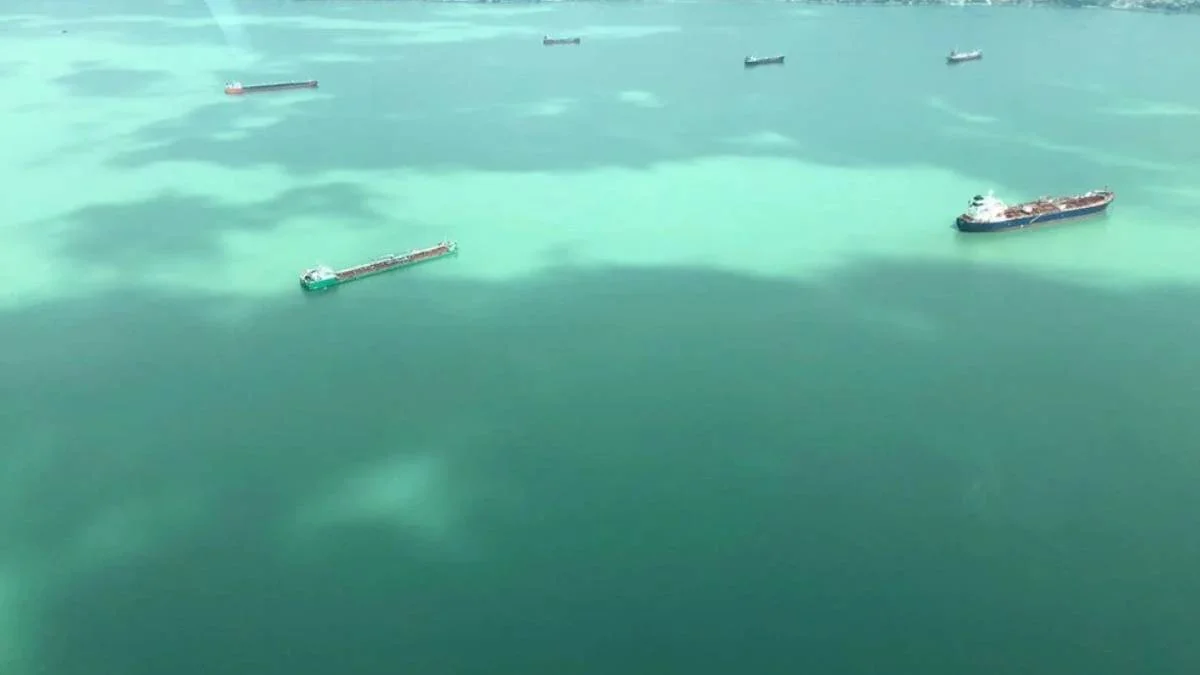 İzmit Körfezi rengi neden değişti? Marmara Denizi Turkuaz rengin nedeni ne? İzmit Körfezi neden renk değiştirdi?