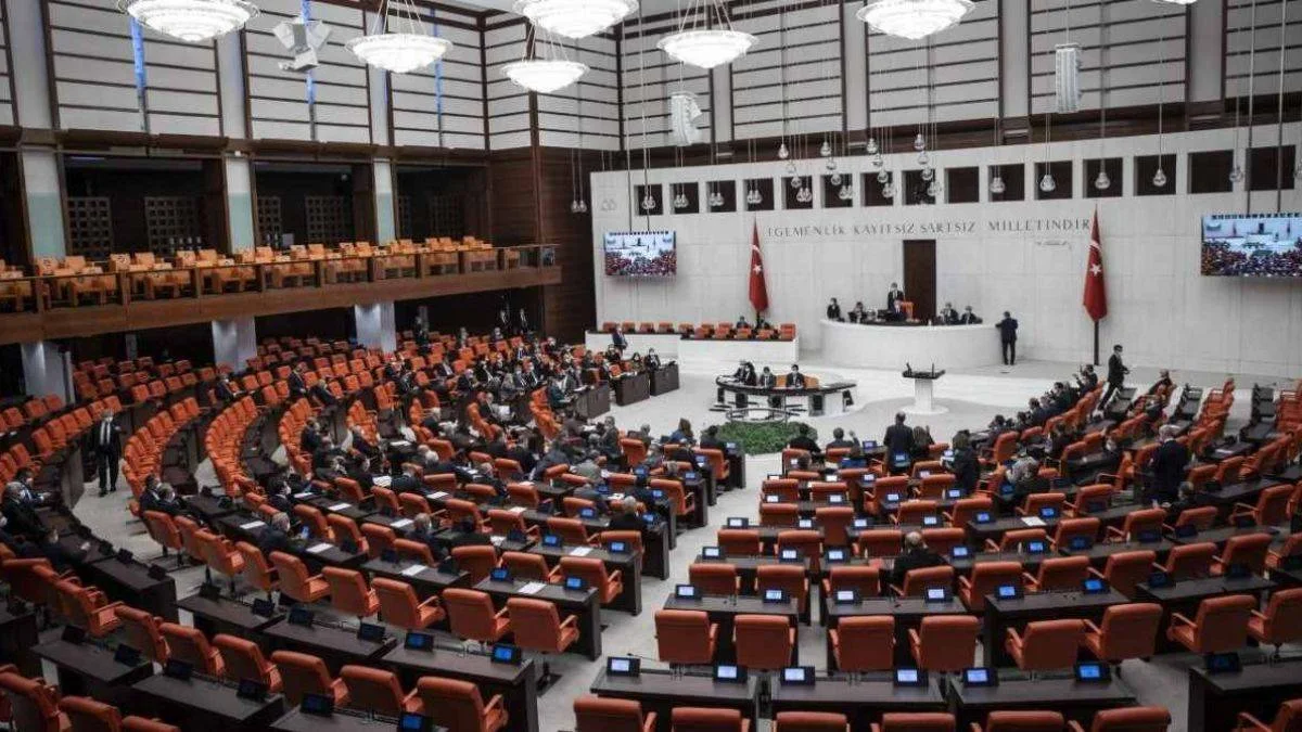 Milletvekili nedir? Kimlere Milletvekili denir?