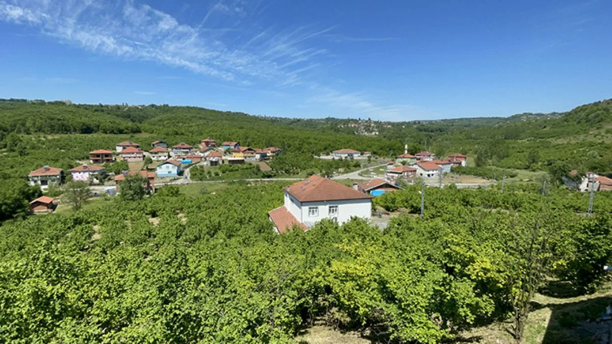 Romanların üreten köyü: Bakırlık