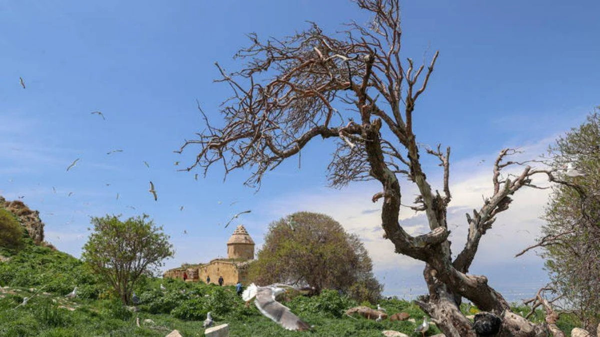 Van Gölü'ndeki Çarpanak Adası'na fotoğrafçı akını