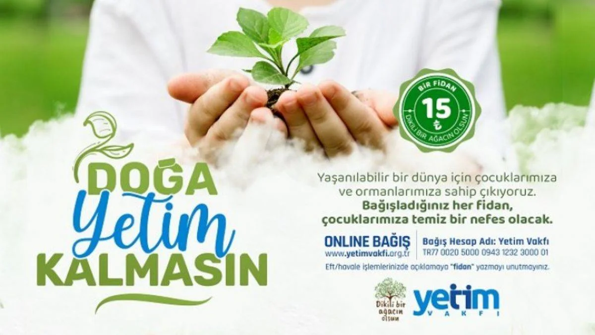 Yetim Vakfı "Dikili Bir Ağacın Olsun" projesi | Fidan yardımı nasıl yapılır? Yetimler için fidan yardımı kampanyası