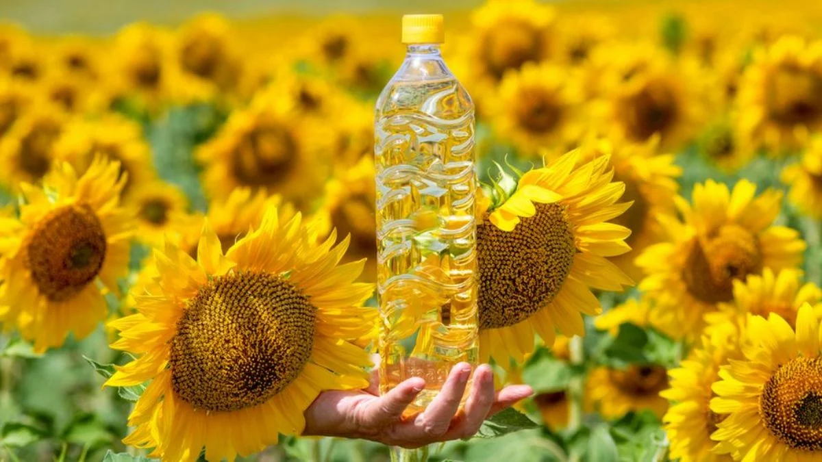 Ayçiçek yağına ne kadar indirim geldi? Güncel ayçiçek yağı fiyatları ne kadar düştü? 1 litre 5 litre sıvı yağ fiyatı ne kadar?