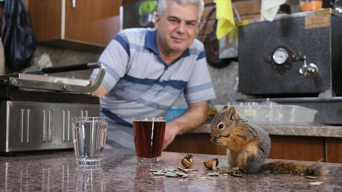 Bitkin halde bulup besledi, çay ocağının 'elemanı' oldu