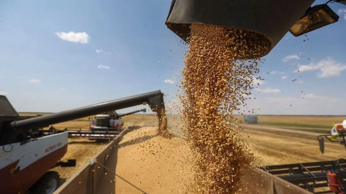 Buğday ve arpa alım fiyatı açıklandı