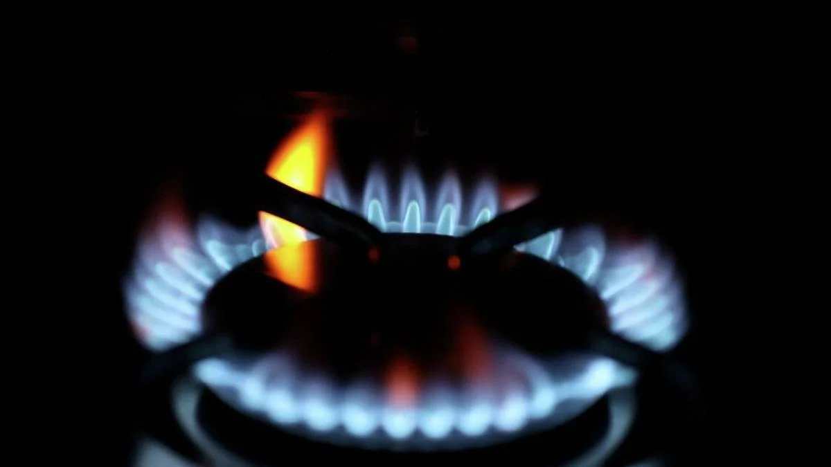 Dev doğal gaz projesi! Harekete geçtiler