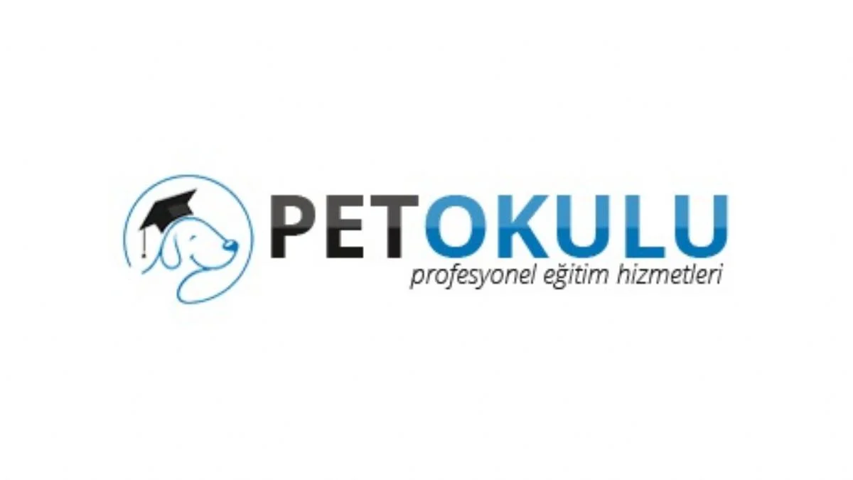 En Güvenilir Yavru Köpek Eğitimi Merkezi İstanbul'da