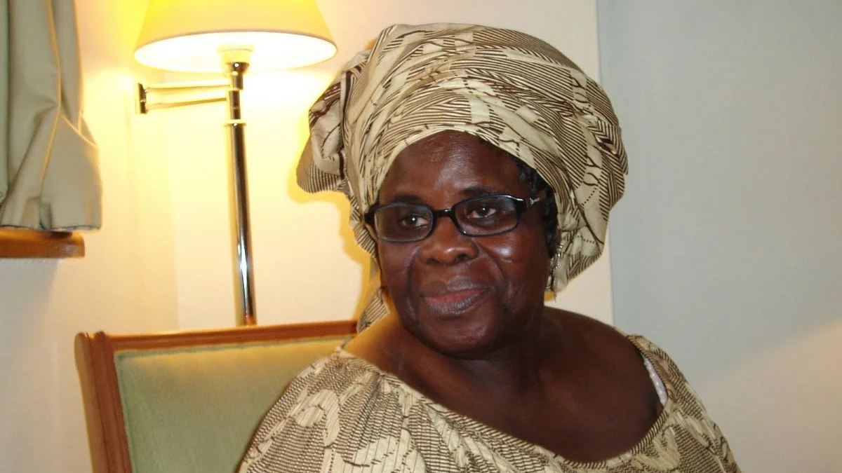Ganalı yazar Aidoo: Afrika olmasaydı Batı ne olurdu?