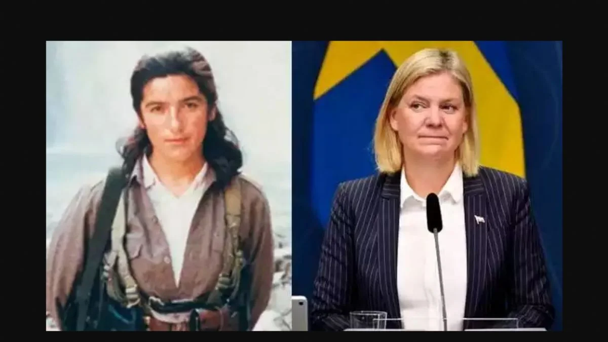 İsveçlilerden 'Erdoğan haklı' paylaşımları