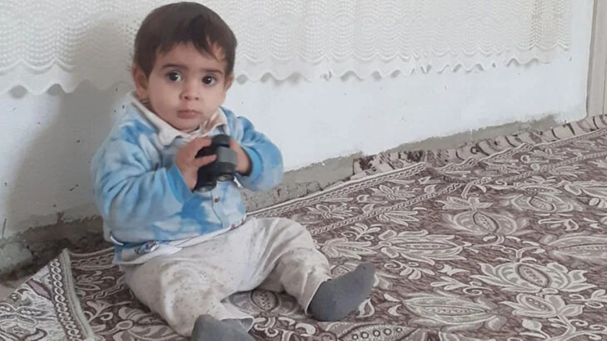 Köpeklerin saldırdığı 2 yaşındaki Ali Asaf öldü
