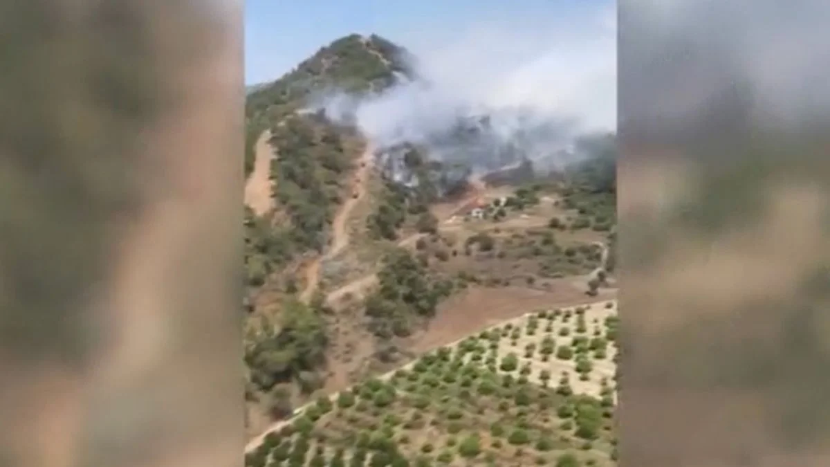Muğla'da orman yangını