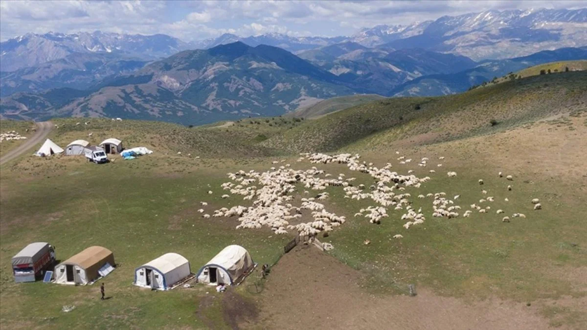 Yıllardır yasaklı olan Tunceli yaylalarında huzur