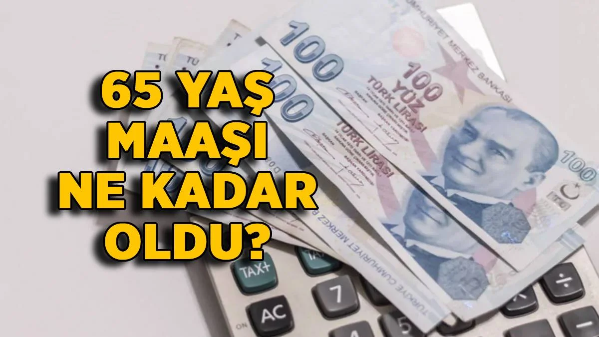 2022 yaşlılık maaşı ne kadar? 2022 Temmuz zamlı 65 yaş aylığı kaç TL oldu? Yaşlılık maaşı (65 yaş aylığı) ne kadar zamlandı?