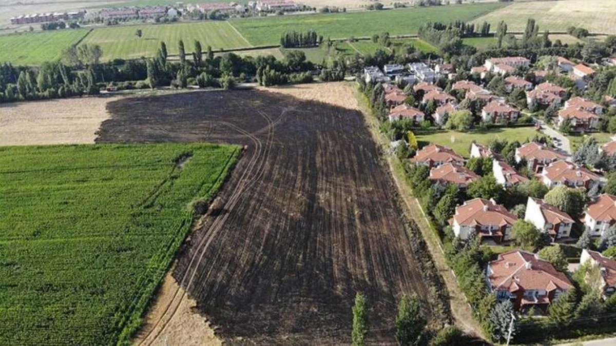 40 dönüm ekili tarla kül oldu