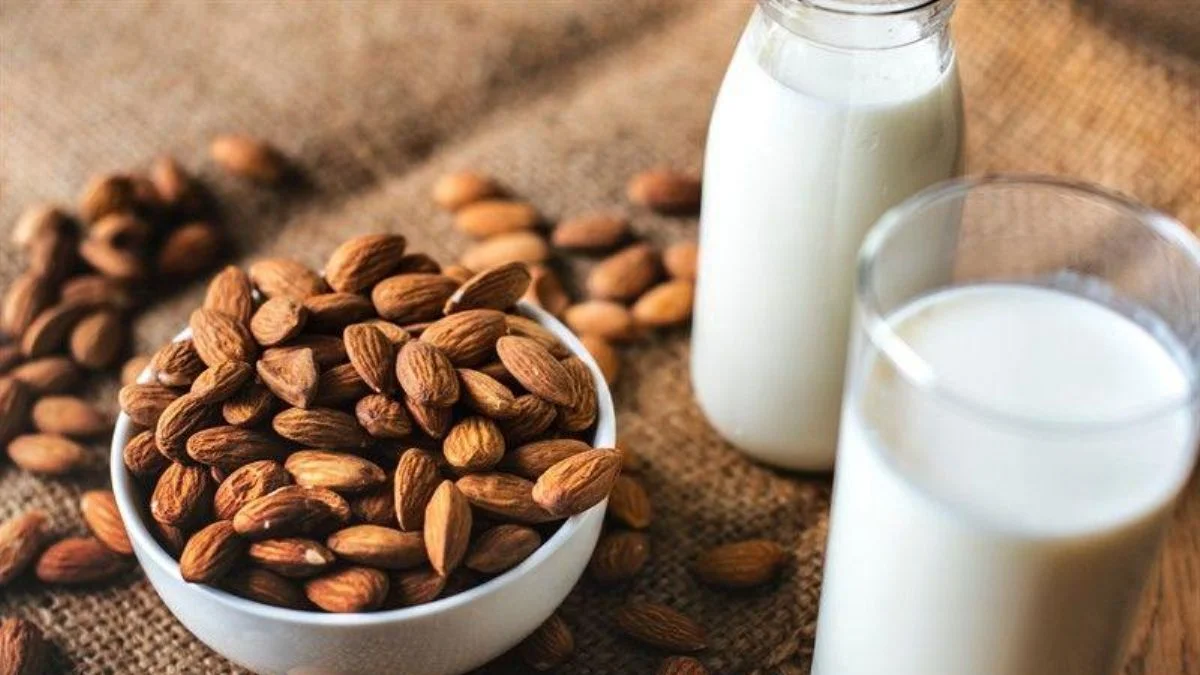 Badem sütünün faydaları nelerdir, ne işe yarar? Badem sütü zayıflatır mı?