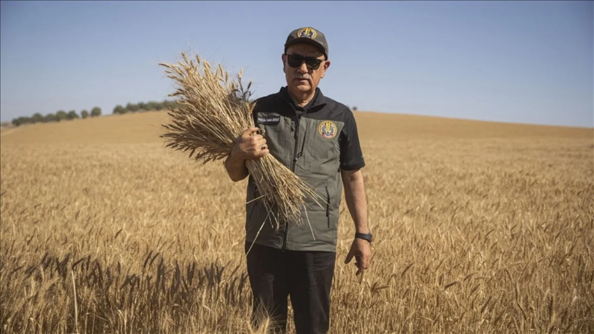 Bakan Kirişci'den buğday açıklaması