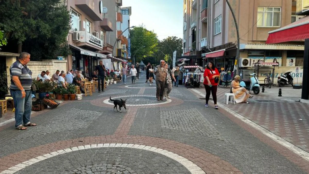 Balıkesir'de 4,6 büyüklüğünde deprem