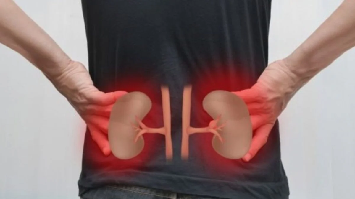 Böbrek ağrısına ne iyi gelir, nasıl geçer? Böbrek ağrısı belirtileri nelerdir?
