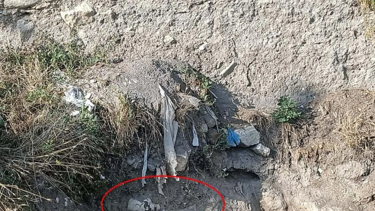 Çankırı'da kafatası ve kemikler bulundu