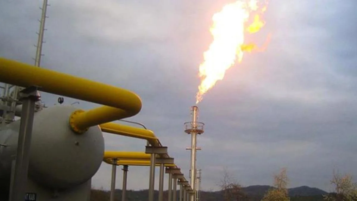 Cezayir milli petrol şirketi gaz fiyatlarını gözden geçirme kararı aldı