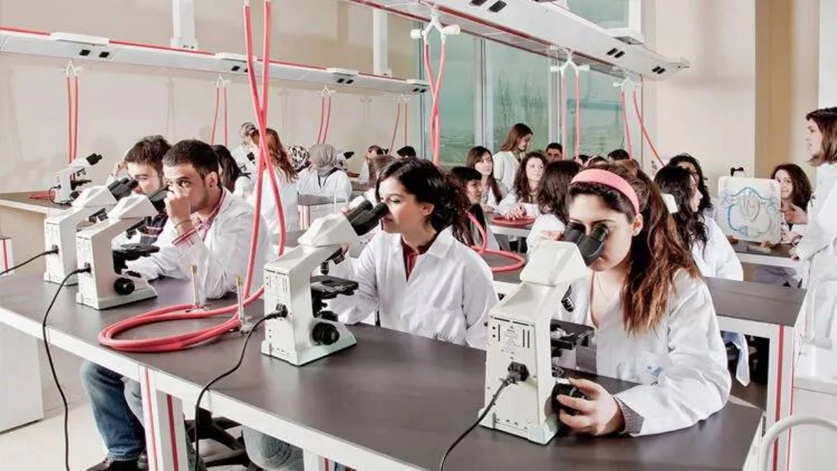 Diş hekimi 5. sınıf ve Tıp Fakültesi 6. sınıf (son sınıf) öğrencilerine asgari ücret mi ödenecek? Diş hekimi ve Tıp öğrencilerine ödeme ne zaman yapılacak?