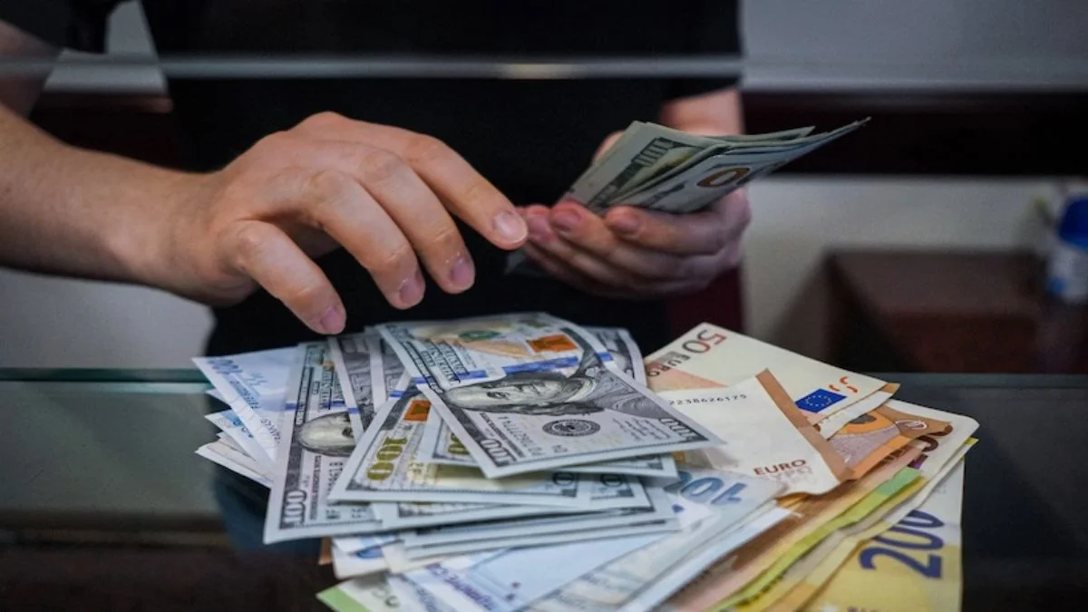 Döviz yatırımcısı için hangi para birimi daha cazip? Euro mu, dolar mı?
