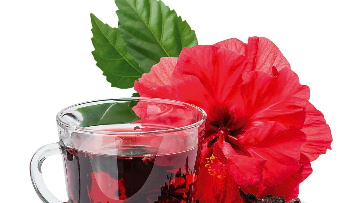 Hibiskus faydaları neler? Hibiskus neye iyi gelir?