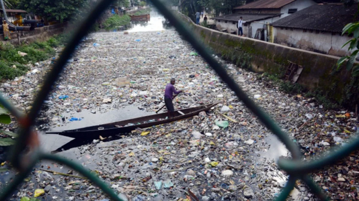 Hindistan'da tek kullanımlık plastik yasaklandı