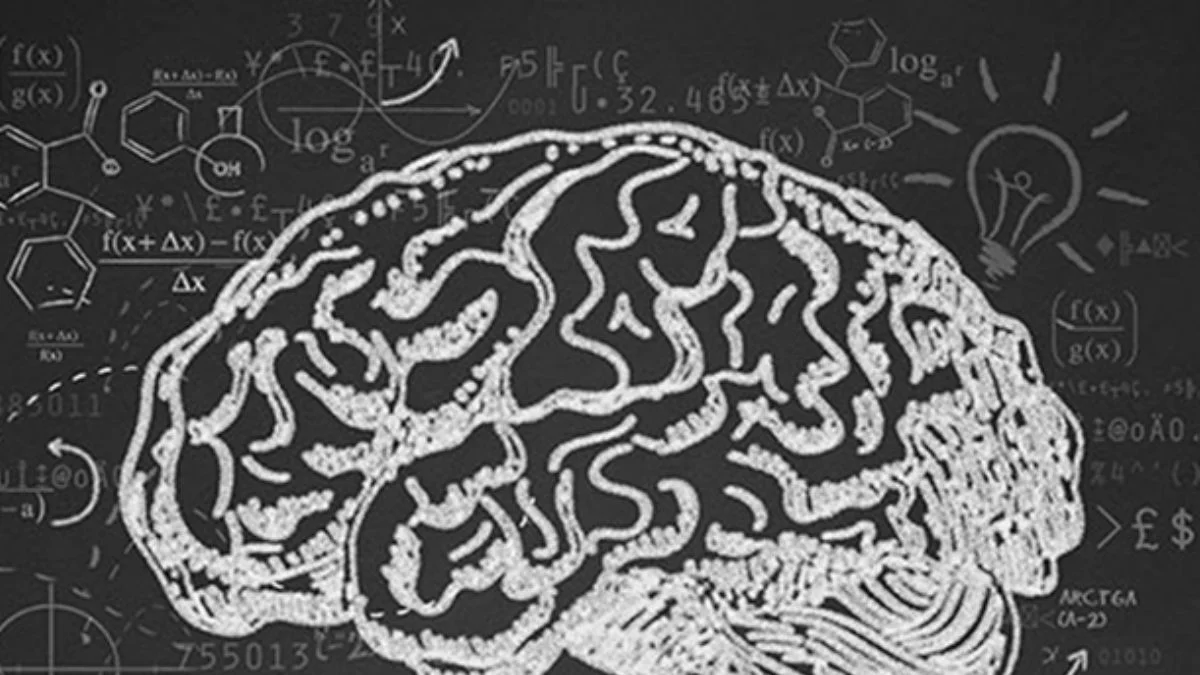 Hızla koştuktan sonra beyinde neler oluyor?