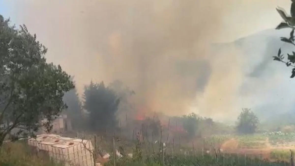 İstanbul Beykoz'da orman yangını