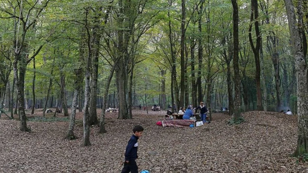 İstanbul Valiliği duyurdu: Ormanlara giriş yasaklandı
