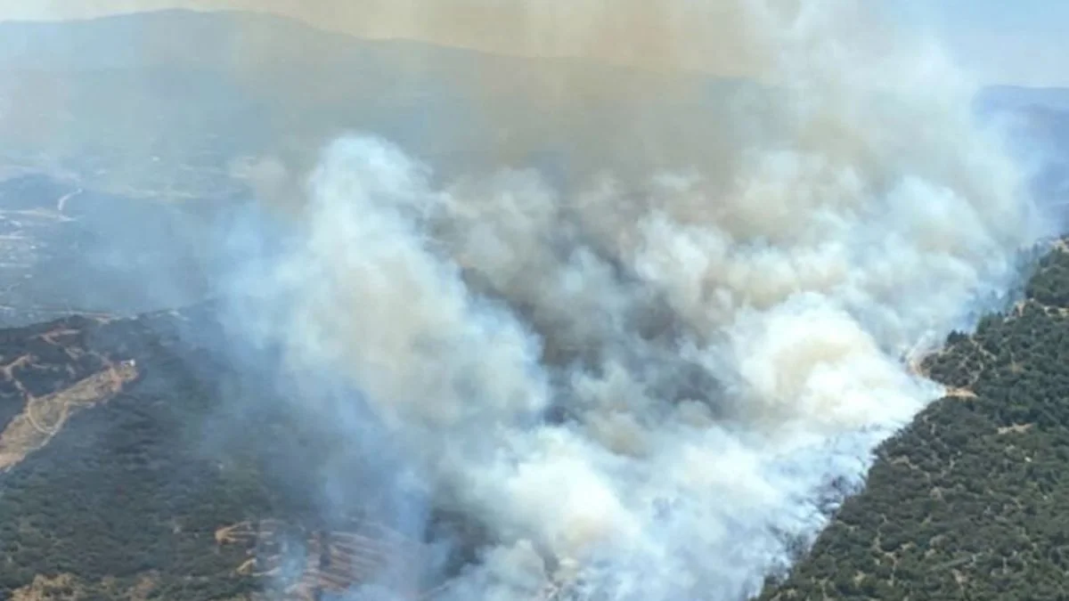 İzmir'de iki bölgede orman yangını