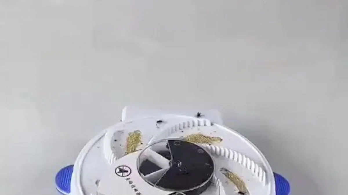 Kara sinek kapanı! Her eve lazım