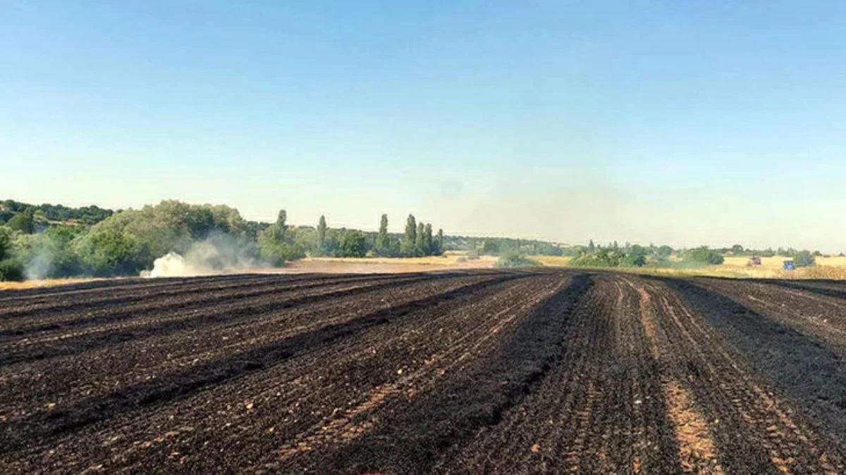 Kırklareli'de 25 dekar buğday tarlası yandı