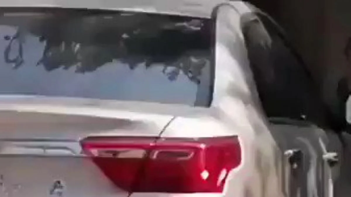 Mekik çeken kedi