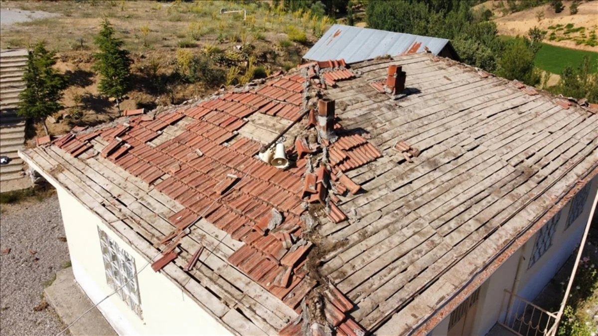 Okul çatısındaki tadilat yavru kuşlar için durduruldu