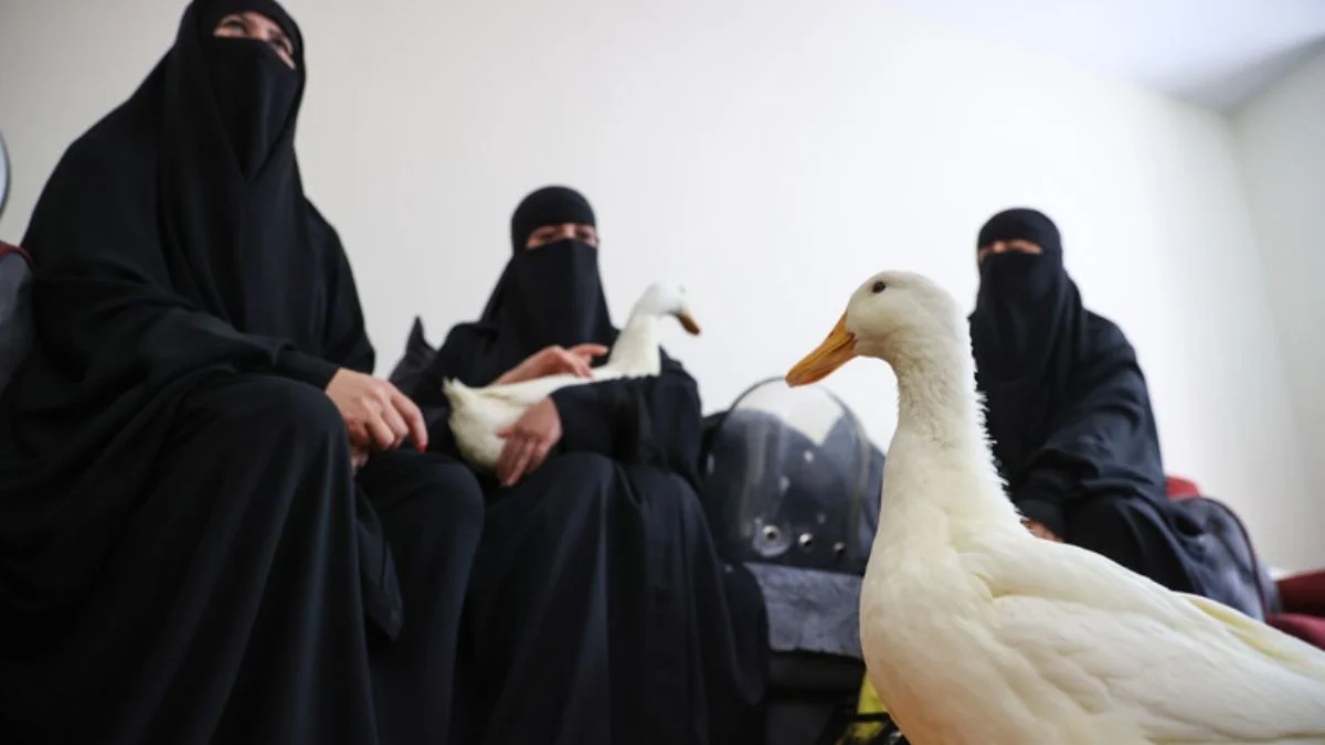 'Ördek krizi' çözüldü; Iraklı kadınlardan açıklama