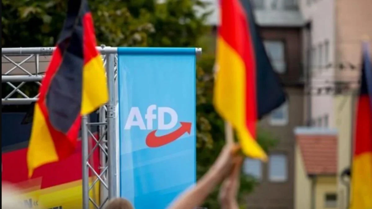 Scholz: AfD tam bir Rus partisi