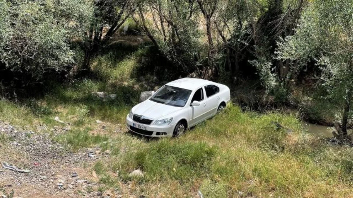 Sürücüsünü arı soktu, şarampole girdi: 4 yaralı