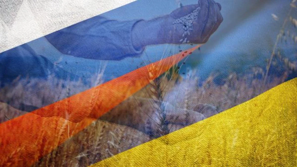 Ukrayna: Üç limanda tahıl kervanları oluşturulmaya başlandı