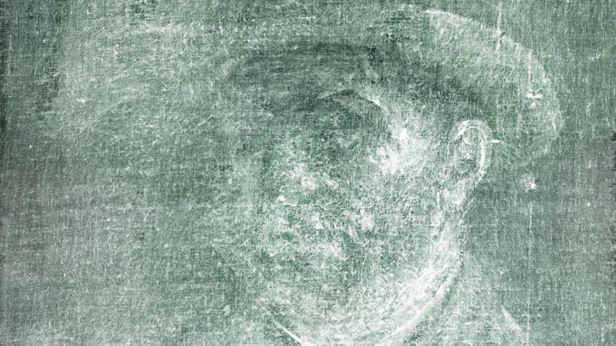 Van Gogh'un gizli otoportresi keşfedildi