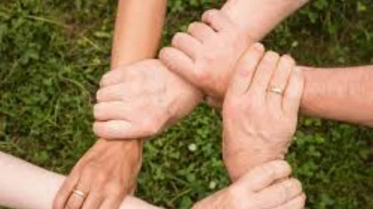 Aile dizimi ne demek? Aile dizimi terapisi nedir?