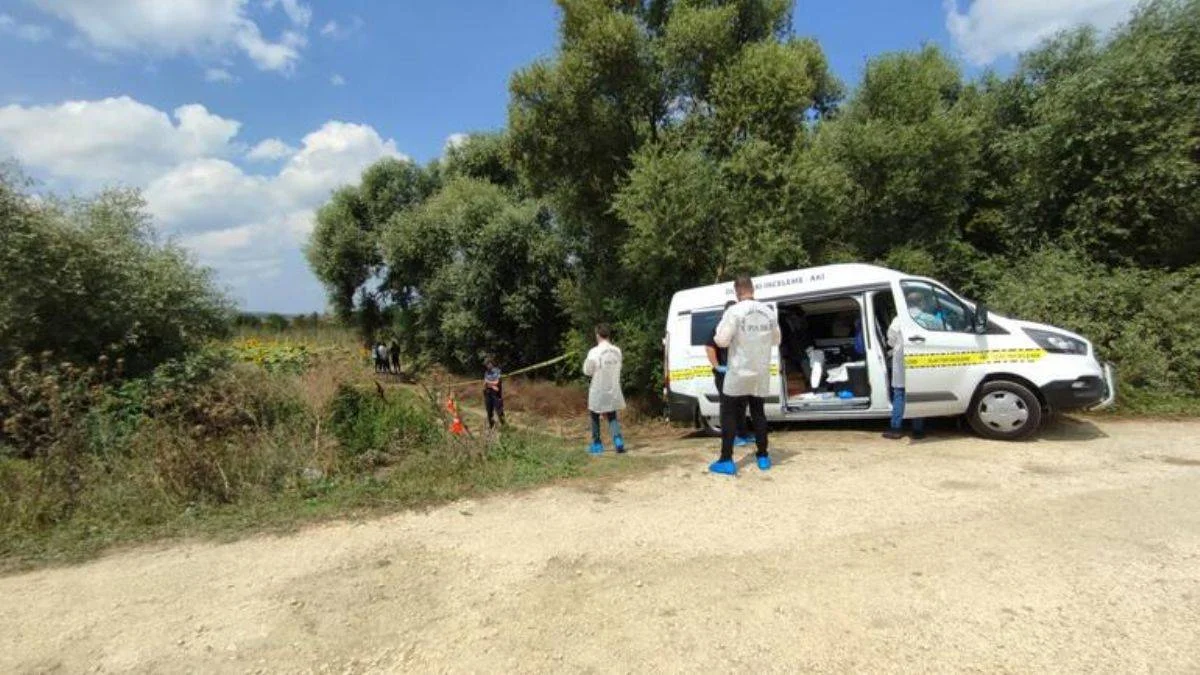 Ayçiçeği tarlasında ceset bulundu