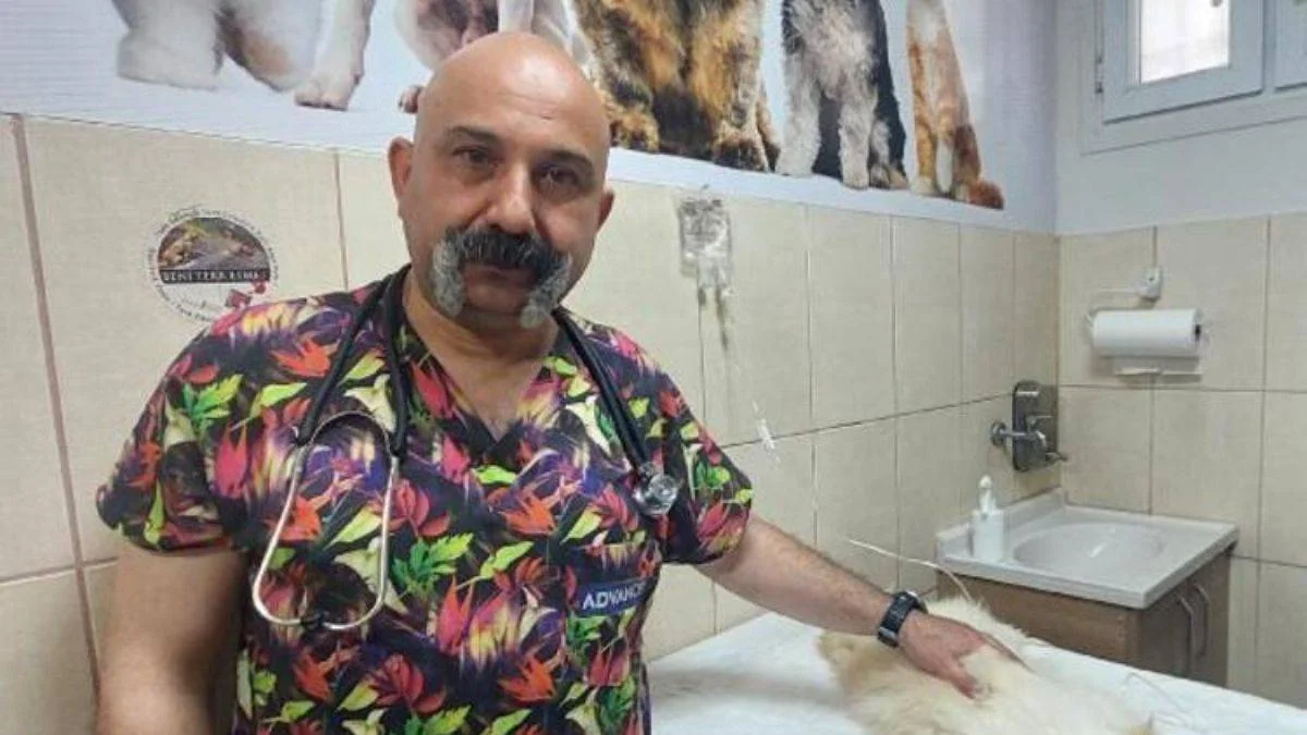 Böcek, akrep, kene ve yılan ısırmaları arttı