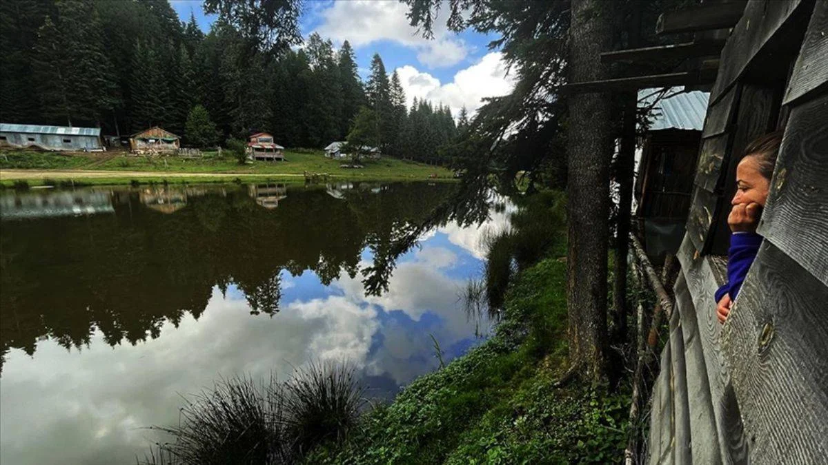 Dört mevsim güzellik! Düzce ve Bolu yaylaları