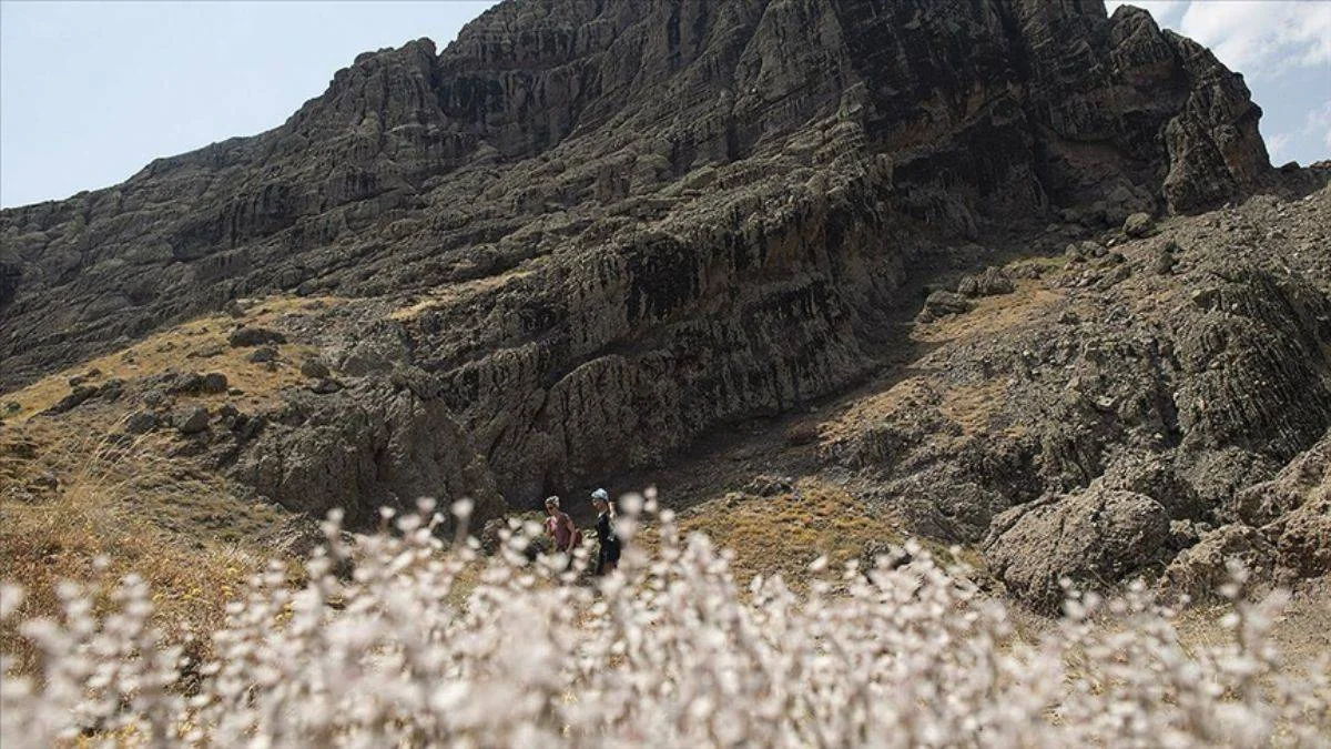 Düzgün Baba Dağı'ndan Tunceli manzarası