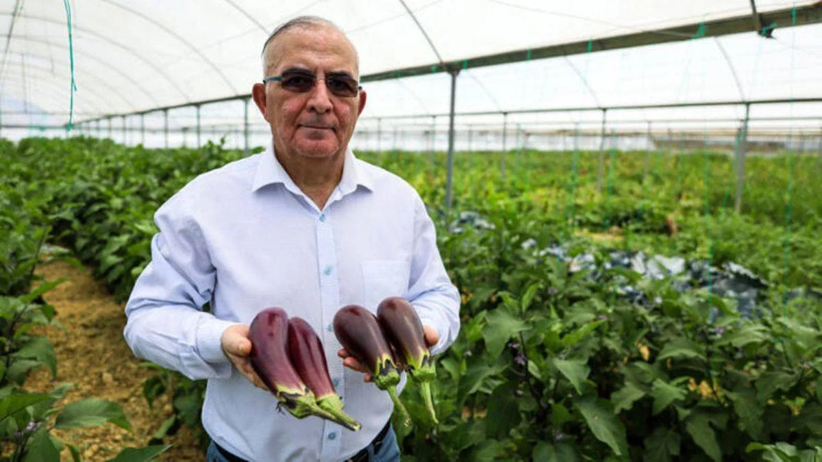 Eşinin memleketinde yetişiyordu, şimdi dünya istiyor