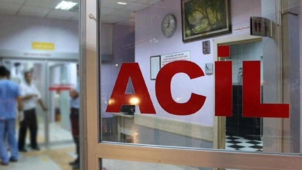 İş yerinde kafeste tutulan maymun, bir çocuğu ısırdı