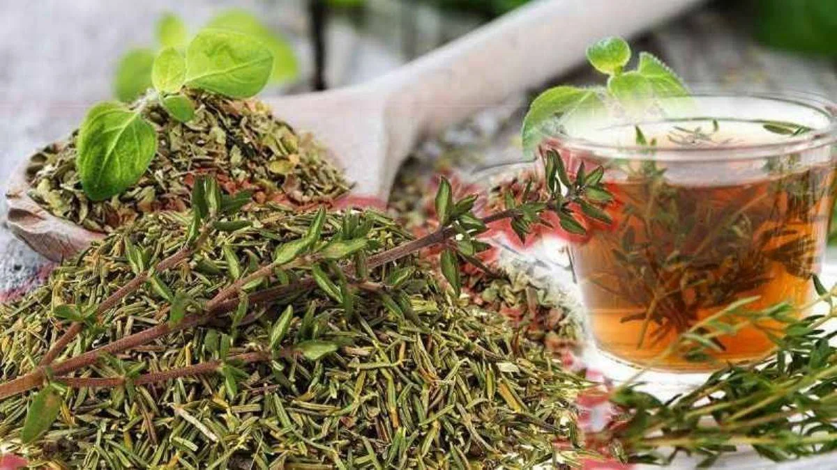 Kekik Çayı Neye İyi Gelir? Kekik Çayı Faydaları